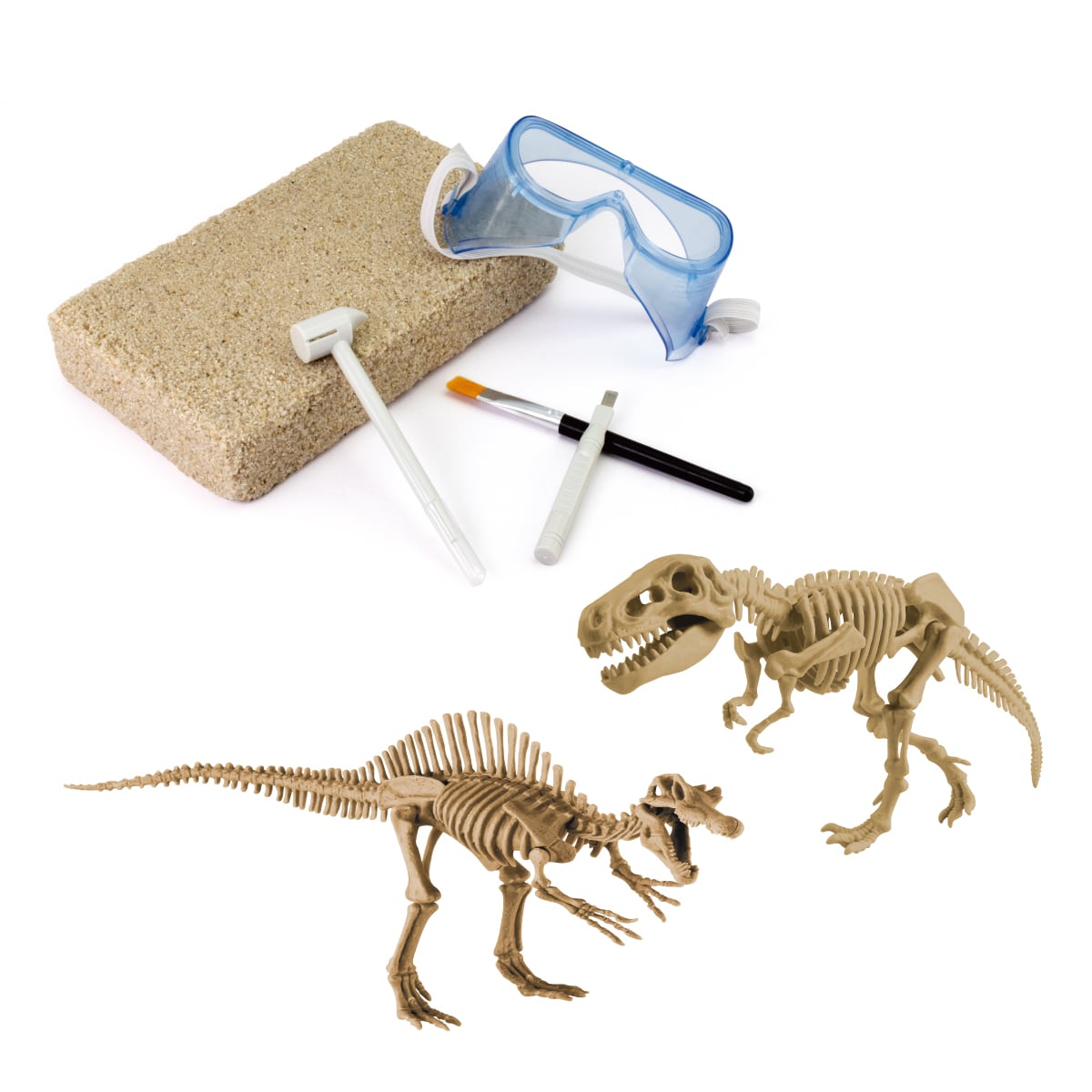 【平日限定】恐竜発掘🦖