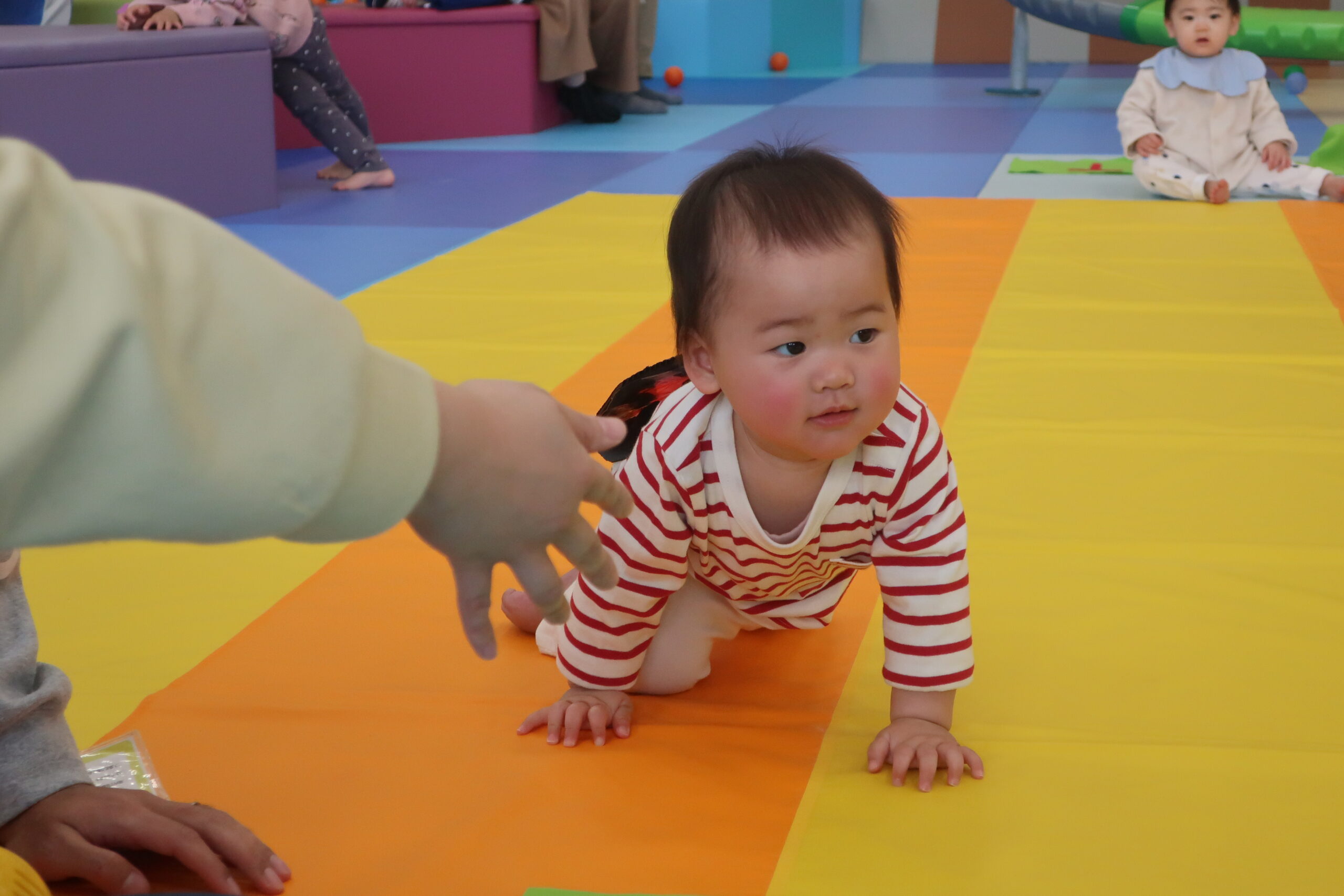 【ベビーイベント】ハイハイレース～いきものver.～