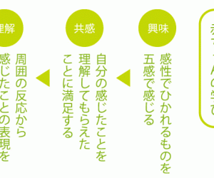 赤ちゃんの感性からの学びと親子の関わり