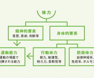 ワクワクドキドキ体験が体の発達を促す