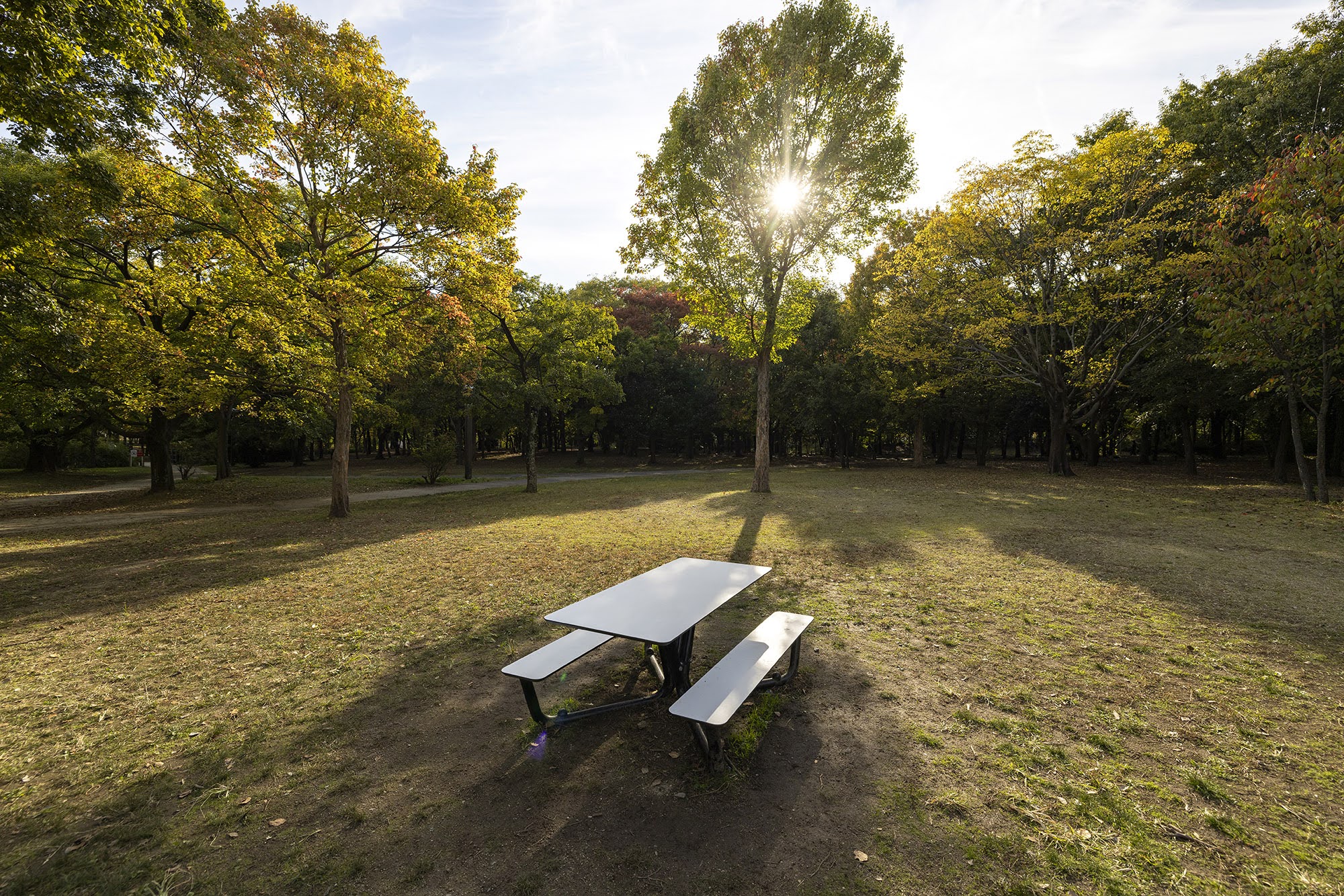 花博記念公園鶴見緑地