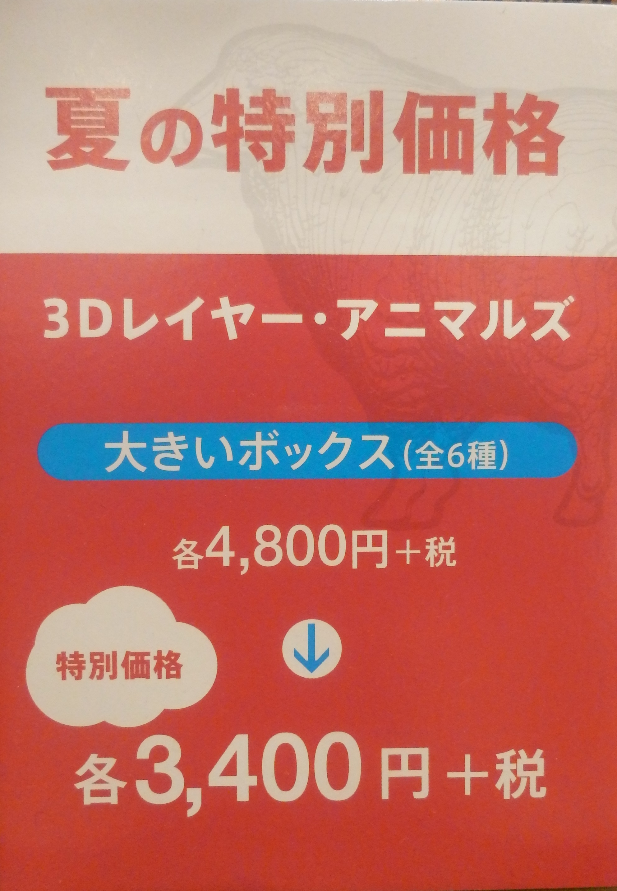 特別価格のご紹介！！