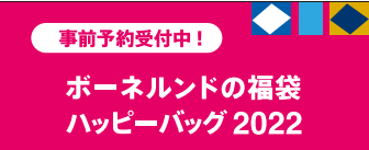 ボーネルンド ハッピーバッグ2022ご予約承ります！！